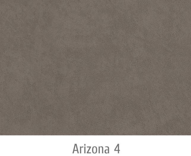 Arizona4