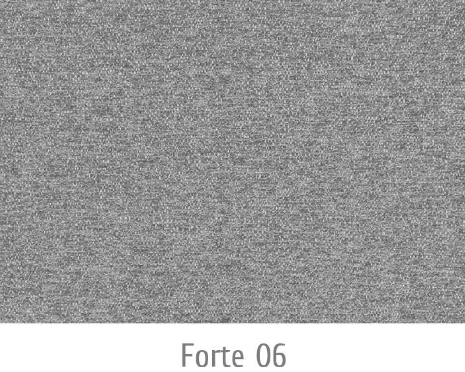 Forte06