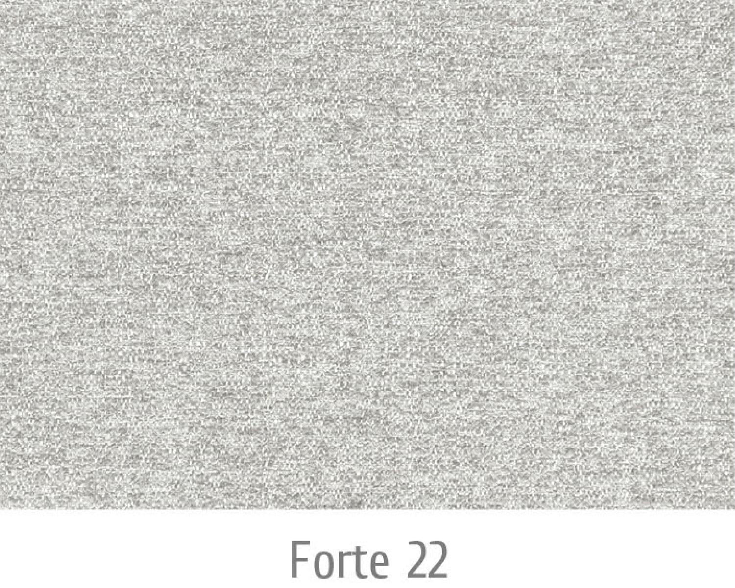 Forte23