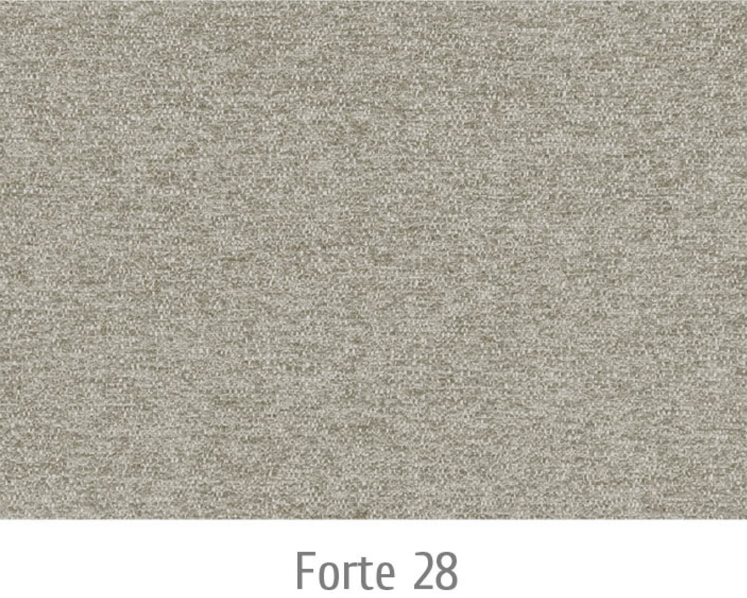 Forte28