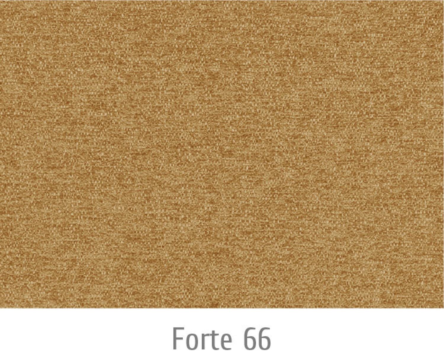 Forte66