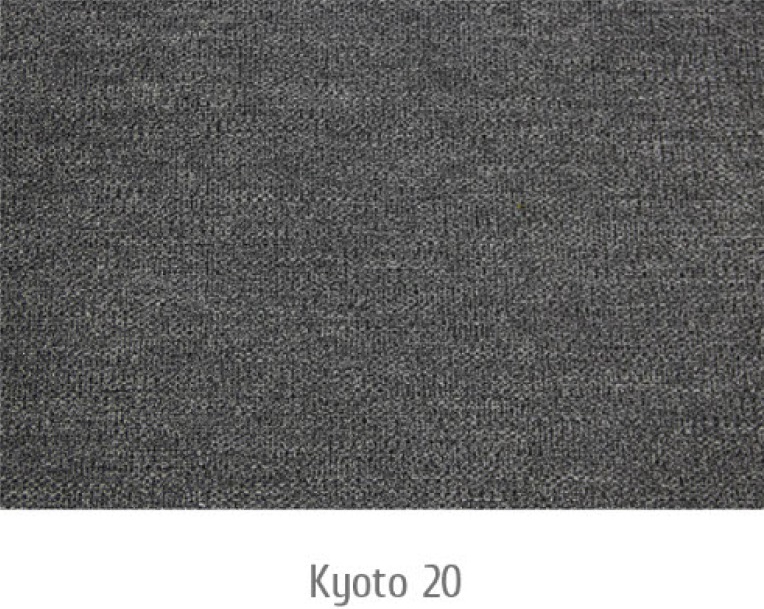 Kyoto20