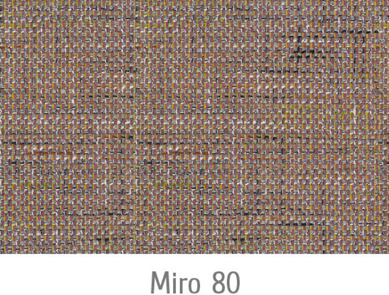 Miro80